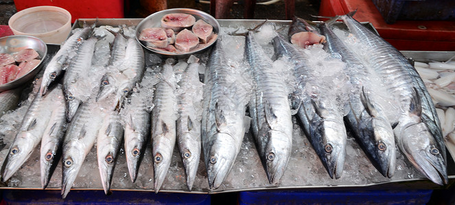 市场上鲜新鲜鱼海产食品品种繁多烹饪维生素钓鱼厨房美味销售美食餐厅海鲜鲭鱼海洋高清图片素材