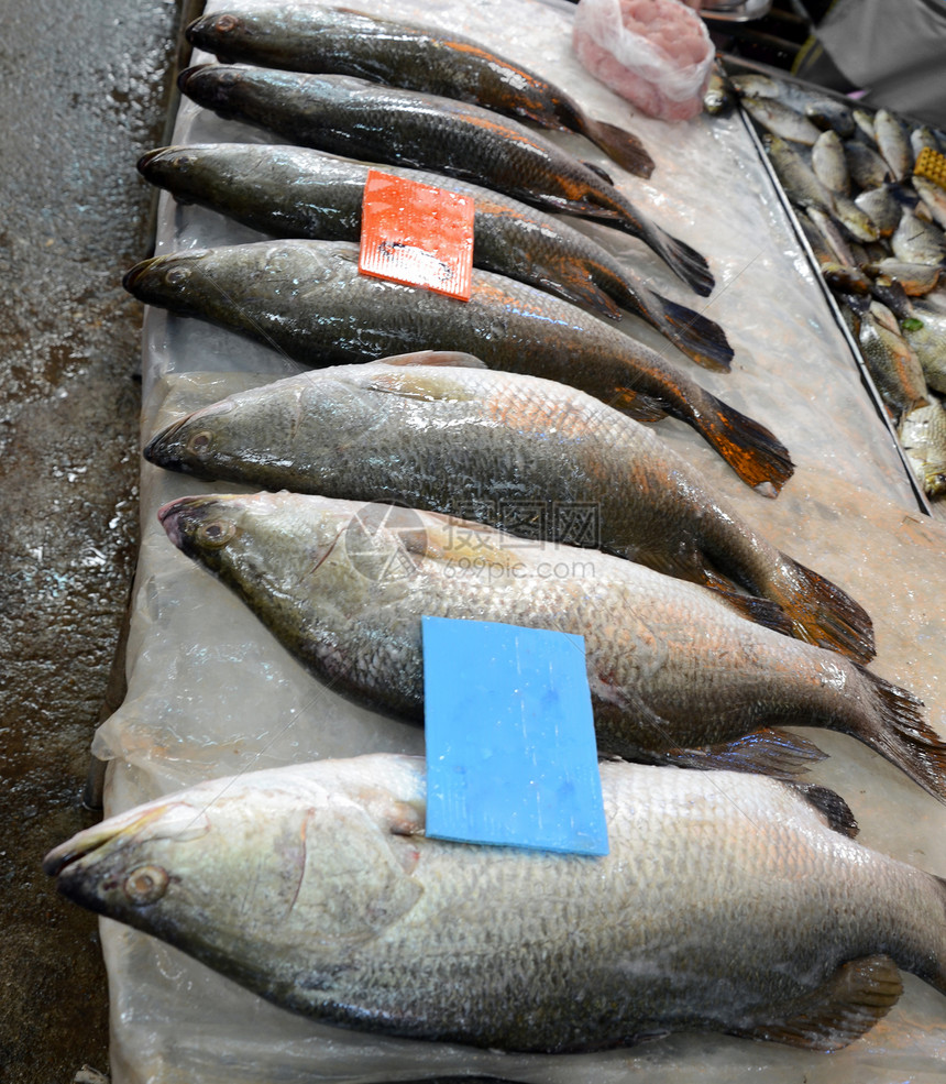 海鲜鱼在海产食品市场图片