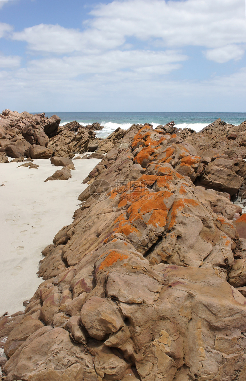 袋鼠岛斯托克斯湾海洋海岸海滩旅行岩石假期海岸线图片