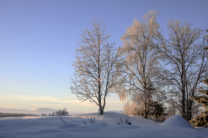 冬季风景天空荒野美丽阳光森林水晶蓝色季节小路阴影图片