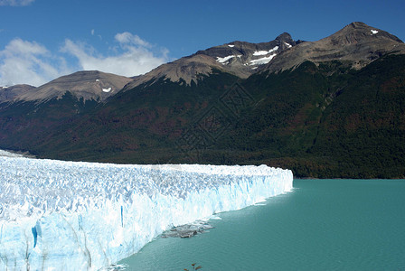 凯蒂佩里阿根廷佩里托莫雷诺冰川冰山风景旅行森林爬坡顶峰地质学木头荒野旅游背景