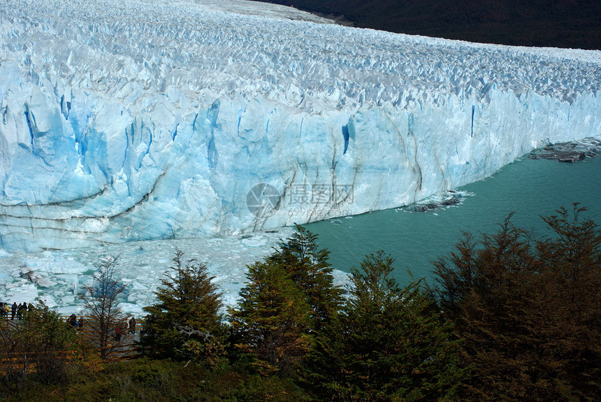 阿根廷佩里托莫雷诺冰川冰山旅游爬坡森林旅行荒野顶峰风景木头地质学图片