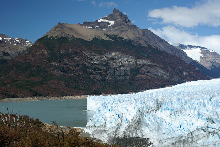 阿根廷佩里托莫雷诺冰川冰山地质学旅行旅游木头森林顶峰荒野爬坡风景图片