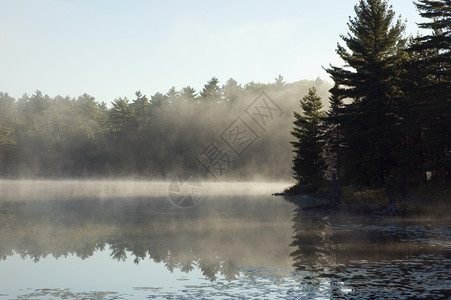 雾镜子天空反射薄雾池塘日出高清图片