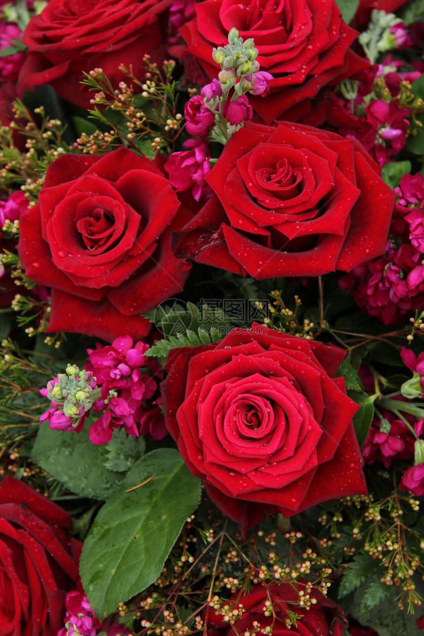 红花和粉红新娘花粉色植物群红色装饰品花朵花瓣婚姻花店植物学作品图片