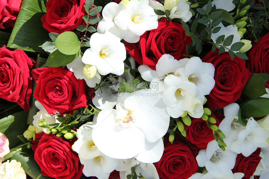 红婚和白新娘安排绿色花店兰花装饰品中心婚姻植物学花朵花瓣婚礼图片