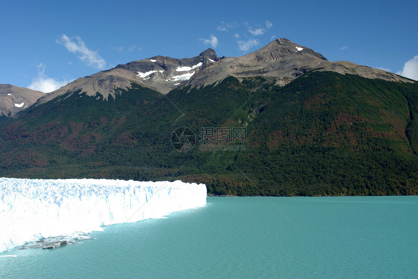 阿根廷佩里托莫雷诺冰川爬坡顶峰旅游旅行森林木头地质学冰山风景荒野图片