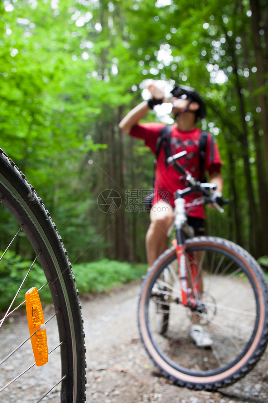 在森林中骑山地自行车森林自行车道上的骑自行车的人活动爱好踪迹头盔速度休息国家冒险运动员娱乐图片