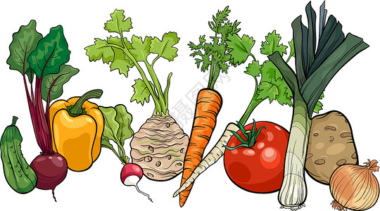 根菜类蔬菜蔬菜大群体卡通插图绘画树叶黄瓜胡椒土豆萝卜食物团体韭葱洋葱插画
