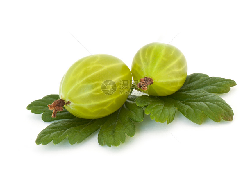 鹅莓甜点食物叶子饮食树叶香气产品水果醋栗绿色图片