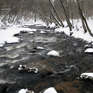 冬季河巨石森林季节白色溪流黑色背景图片