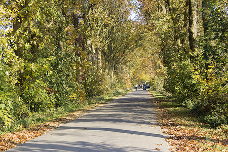 通过秋天公园的路风景高清图片素材