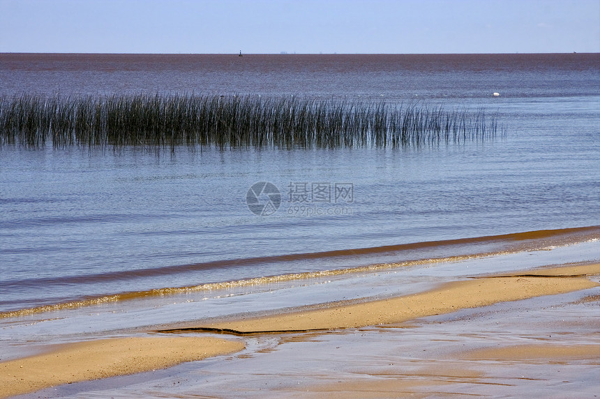 在普拉塔河畔的沙滩和草原上天空支撑海滩浅蓝色海岸线绿色衬套棕色淡蓝色海浪图片