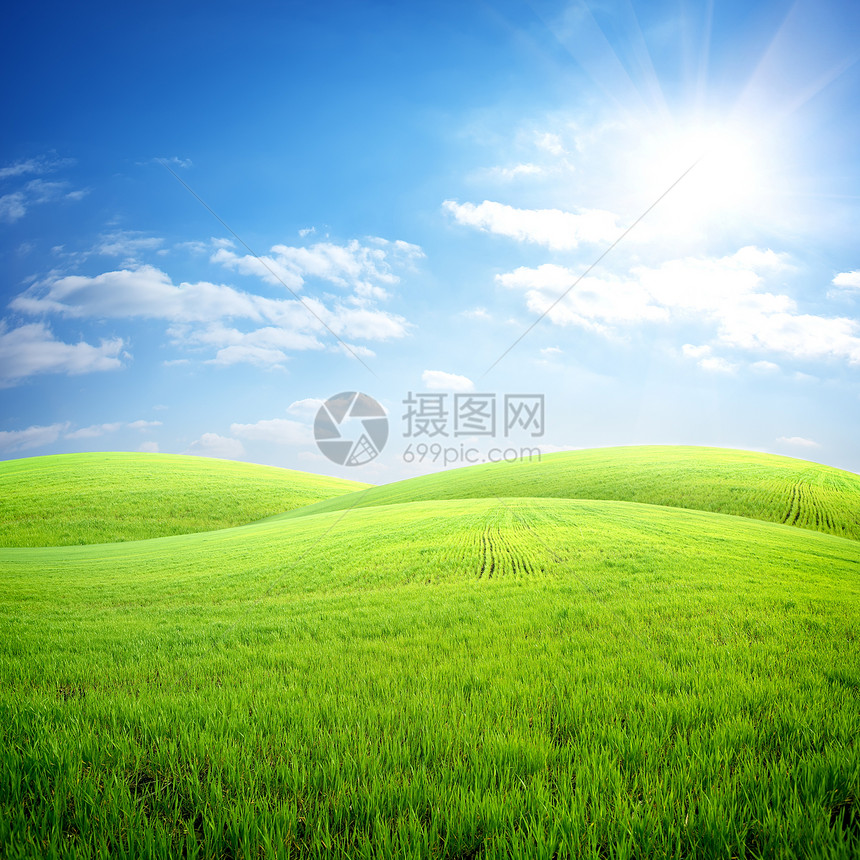 新鲜草地场景植物天气农业草原天空阳光天堂牧场太阳图片