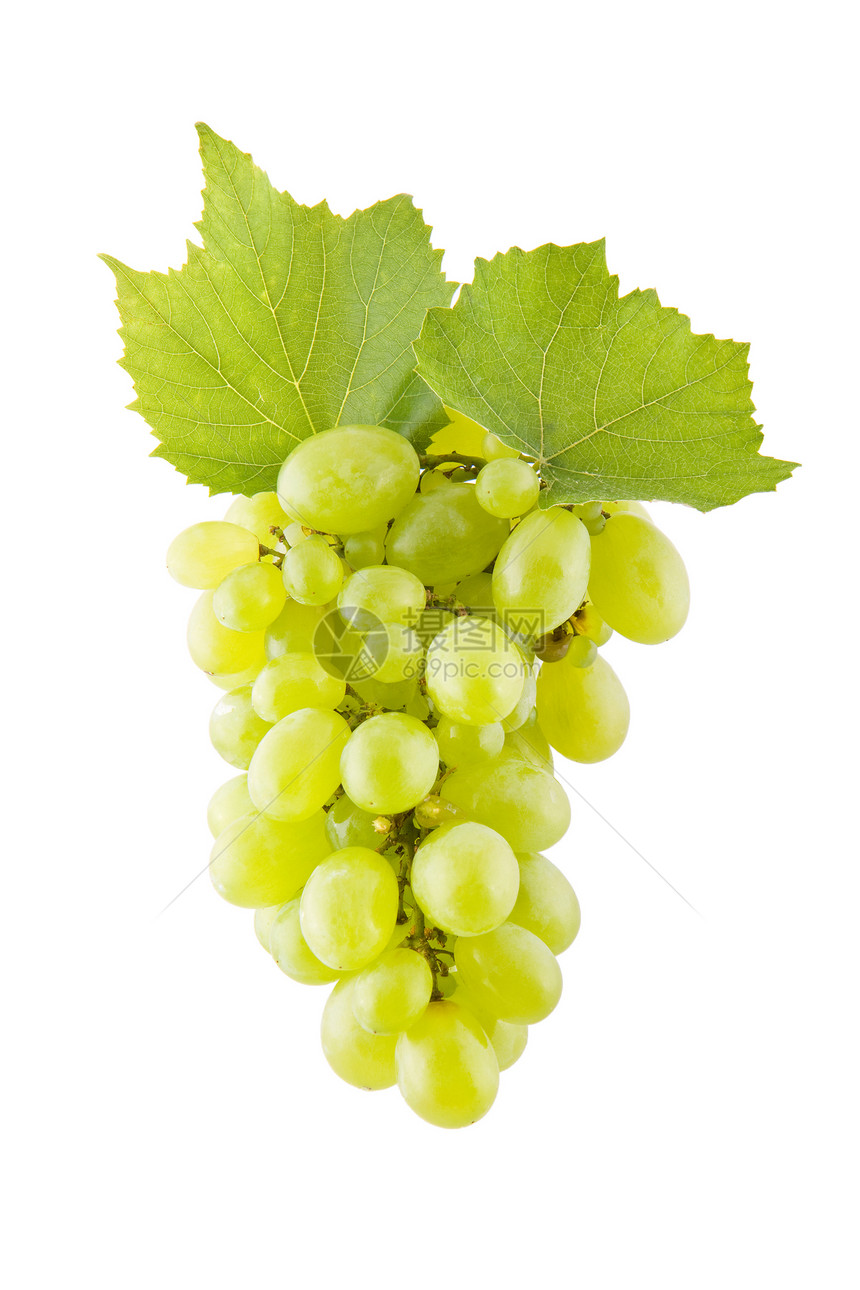 白色上的葡萄绿色水果叶子食物图片