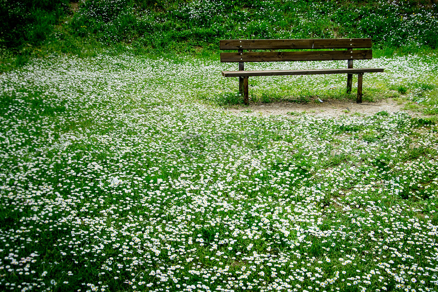 Meadow法官席图片