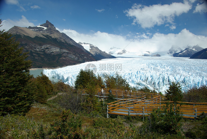 阿根廷佩里托莫雷诺冰川森林爬坡地质学冰山顶峰旅行风景旅游荒野木头图片