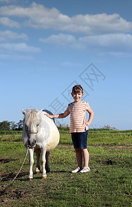 快乐的小女孩和小马马动物高清图片素材