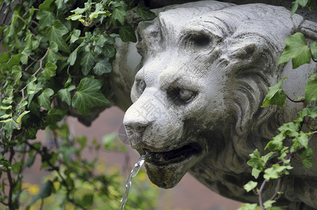 狮子喷泉雕像公园爬行者溪流雕塑石头纪念碑花园植物英语背景图片