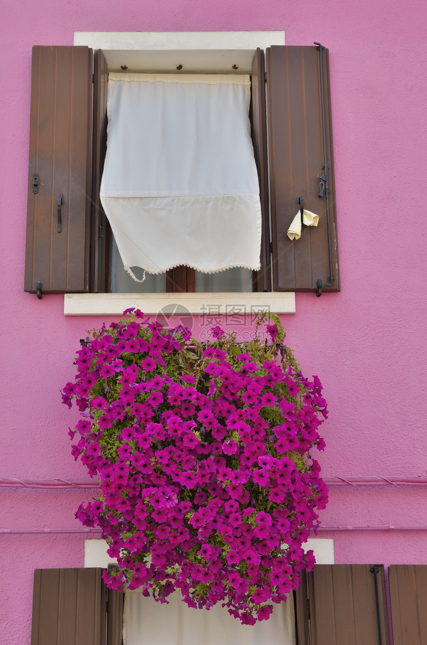粉红屋房子建筑学木头百叶窗窗户花朵图片