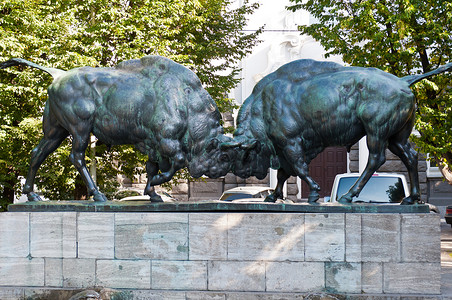两头水牛纪念碑动物群动物艺术城市牛角男性荒野斗争雕塑背景图片