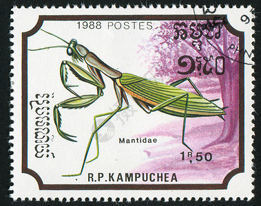 螳螂形象昆虫天线集邮螳螂海豹翅膀邮件飞行邮票生物学食肉背景