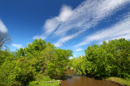黑鹰泉森林保护区基什沃基河户外高清图片