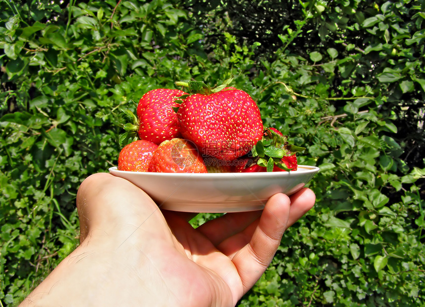 盘子里的草莓伸展手伸展图片