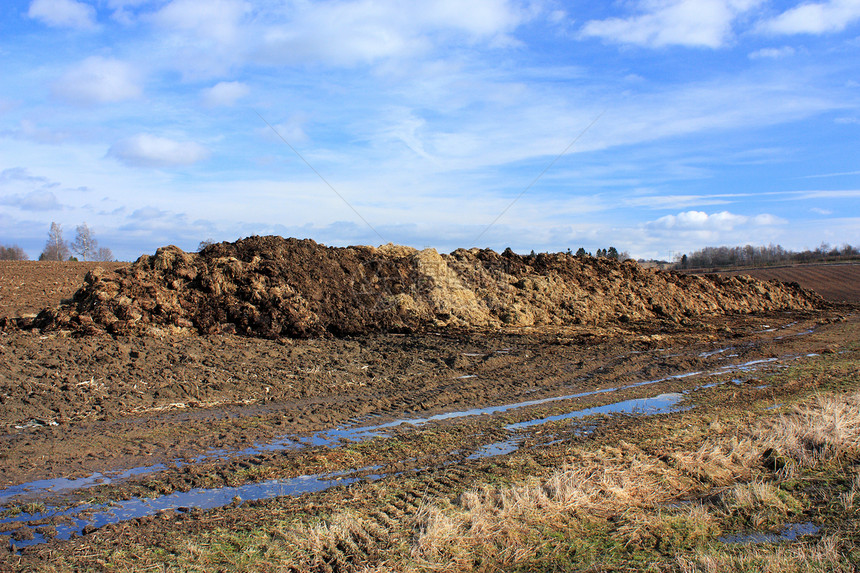 粪肥农田棕色国家地球蓝色场地天空劳动农村泥浆图片