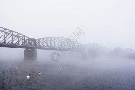 雾中之桥毛毛粗糙度阴霾情绪细雨清凉天气薄雾寒冷大雾图片素材