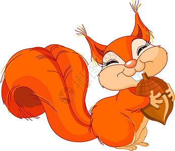 附带坚果的松松鼠橡木艺术微笑夹子动物橙子喜悦插图乐趣卡通片背景图片
