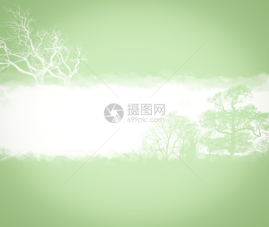 有树纸纹理阴影水平绿色树枝黄绿色框架风景叶子木头场景图片