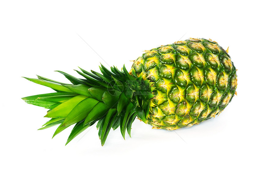 菠萝热带白色黄色食物水果绿色图片