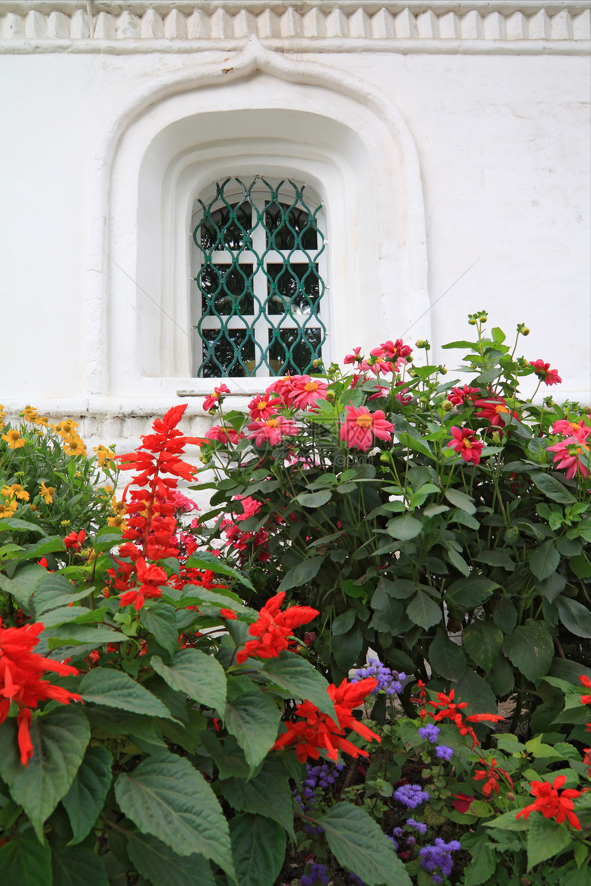 窗下的花朵路口街道城市雏菊旅行太阳公园假期花园阳光图片