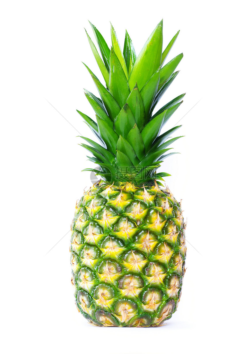 菠萝热带水果食物黄色绿色白色图片