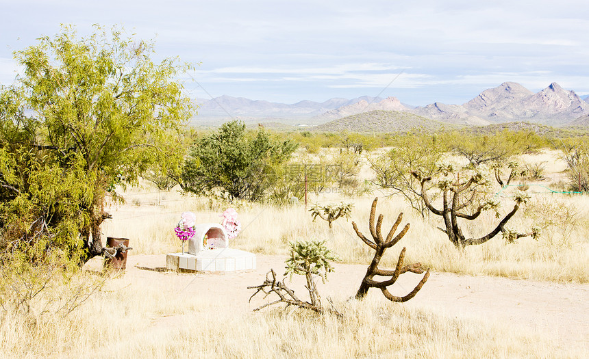 美国亚利桑那州位置世界植物群旅行孤独山脉衬套植被风景外观图片