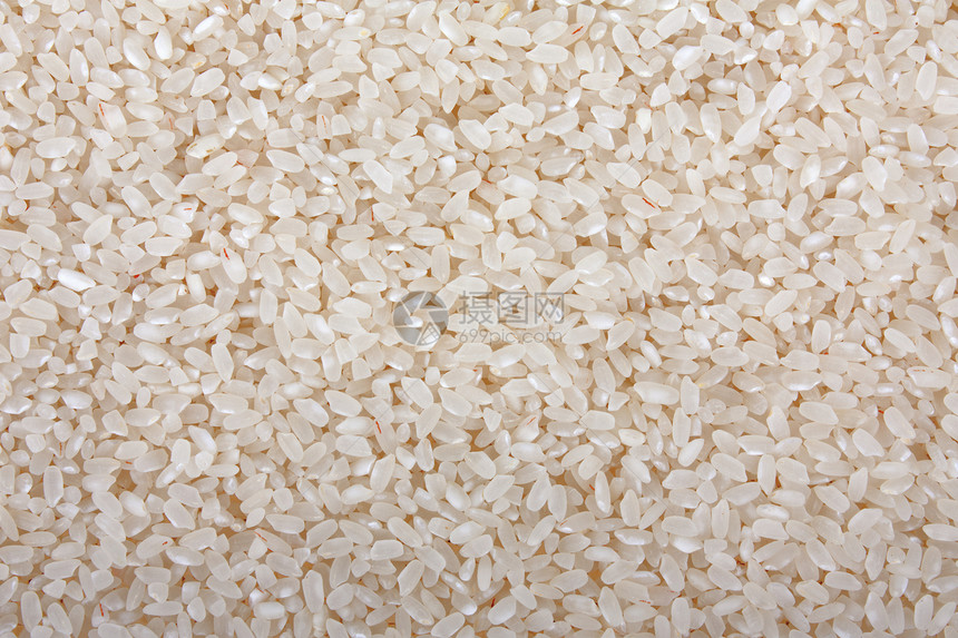 粮食稻米主食稀饭午餐文化奶油种子谷物美食植物香米图片