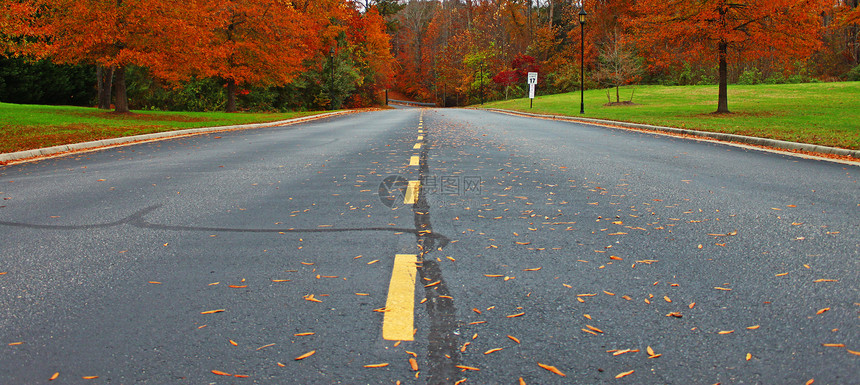 秋季时间路面公园分支机构晴天落叶橙子树叶曲线森林条纹图片