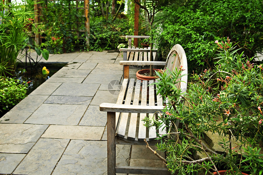 稀绿花园植物叶子铺路树木池塘人行道院子长椅美化座位图片
