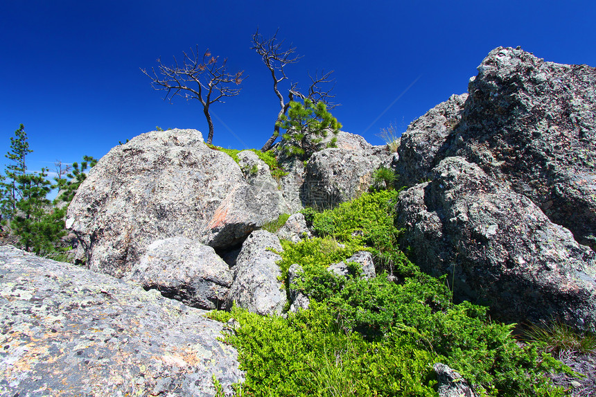 黑山森林风化图片