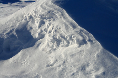 雪下对比度背景图片