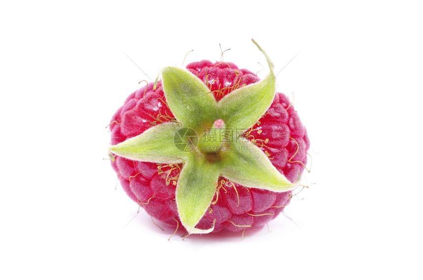 树莓草莓甜点饮食红色花园绿色叶子养分水果果味食物图片
