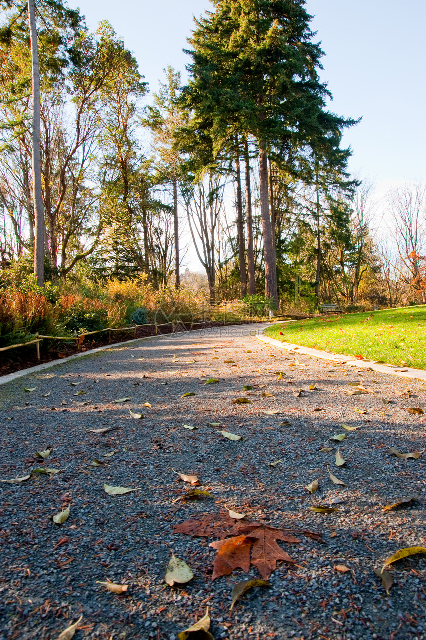 路径路徑人行道树木植物公园途径小路植物学植物园季节性季节图片