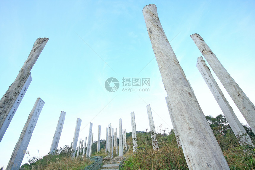 心经智慧道-蓝色树干上的中国祈祷文图片