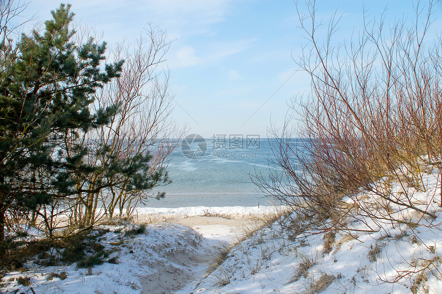 冬季的波罗的海图片