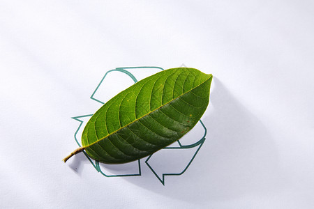 再循环回收叶子标志废纸环境保护符号绿色背景图片
