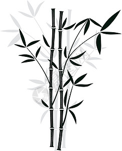 当地植物群矢量竹竹子装饰生活植物群叶子插图异国生长情调墙纸插画