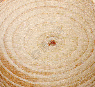 木头纹理空白圆形同心生活背景图片