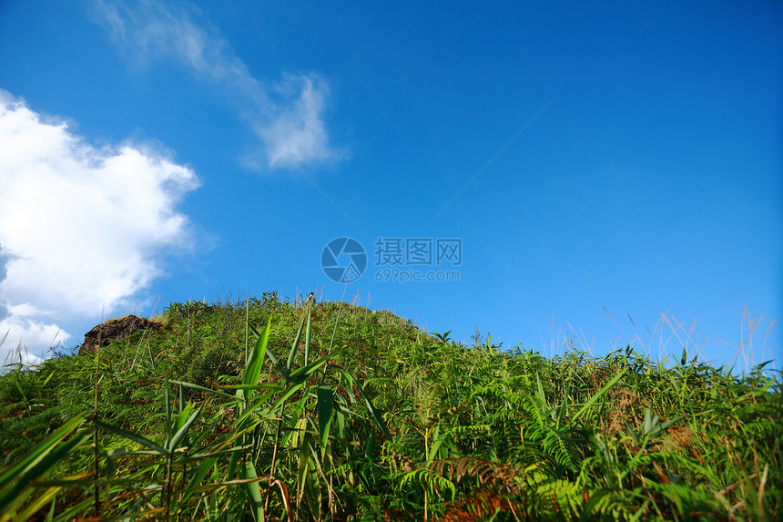 绿林和高山国家草地天空蓝色土地绿色森林爬坡热带农村图片