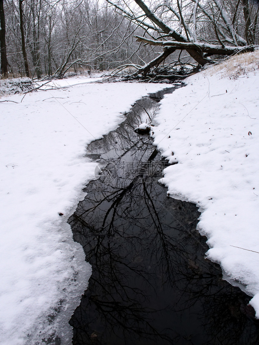 伊利诺伊州冬季溪流景图片